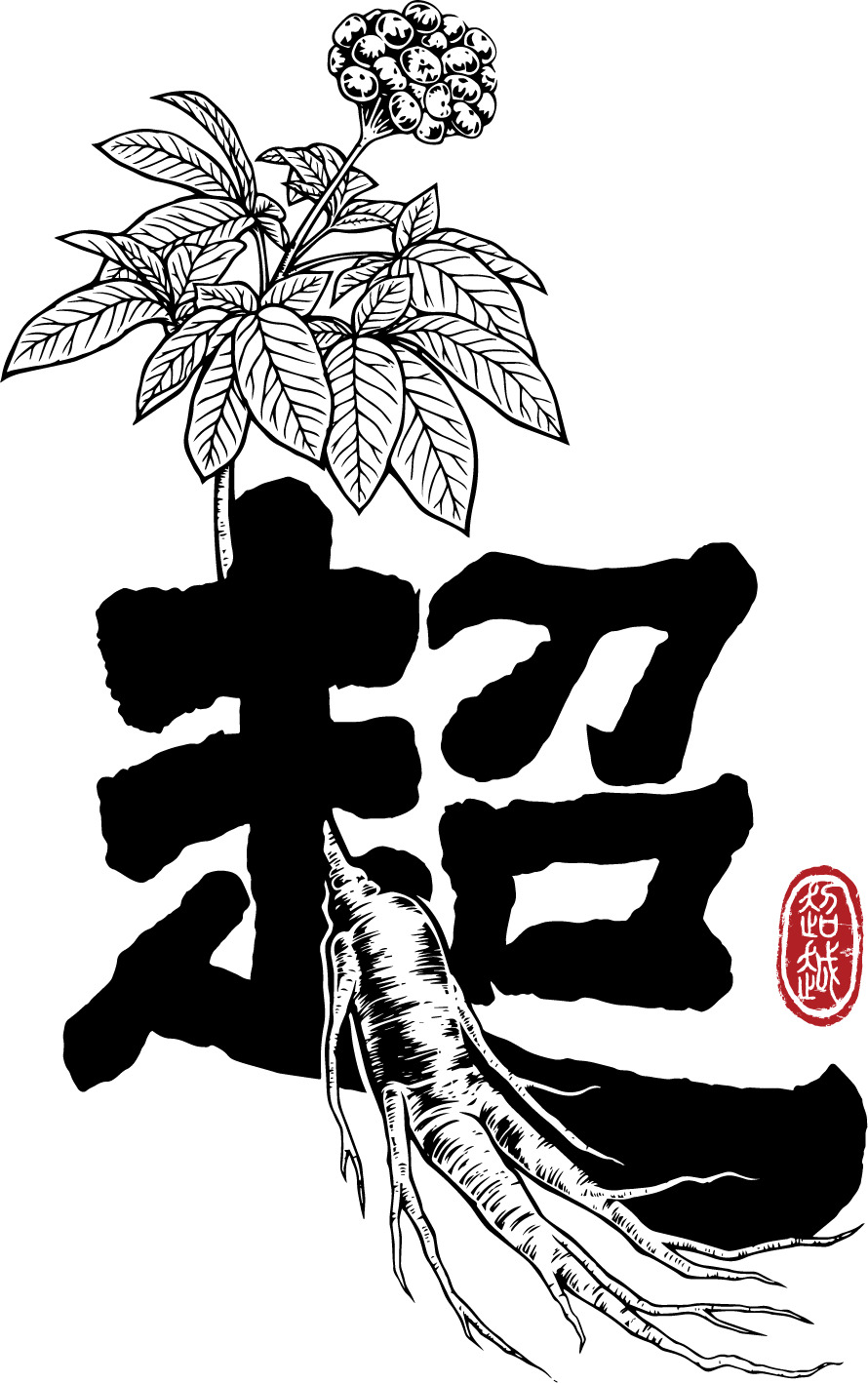 “超越”発酵紅参